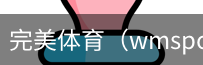 完美体育，WMsports，完美体育官方，完美体育平台，完美体育下载